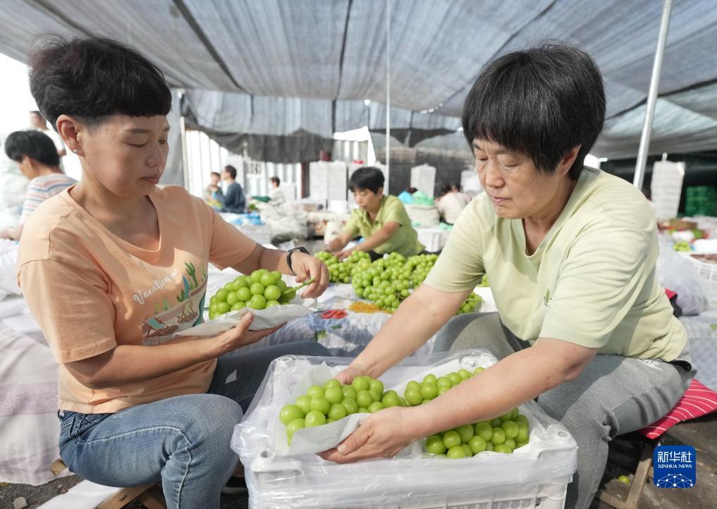 威尼斯人登录